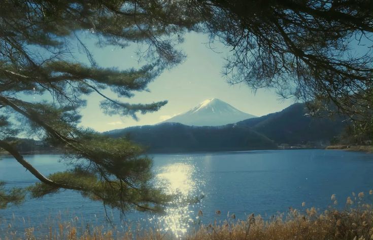 Fuji Landscape
